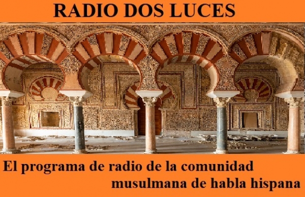Progr. nº 816 20-04-2025