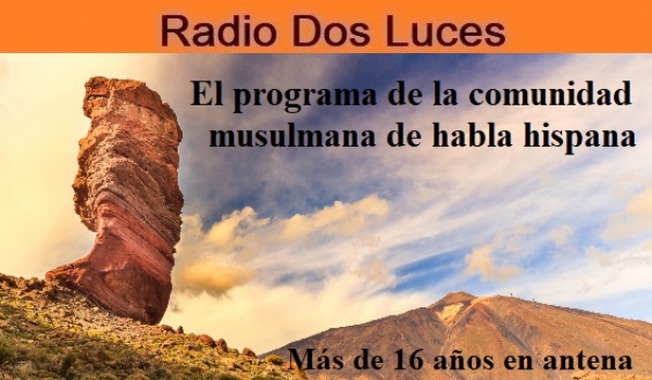Progr. nº 801 29-12-2024