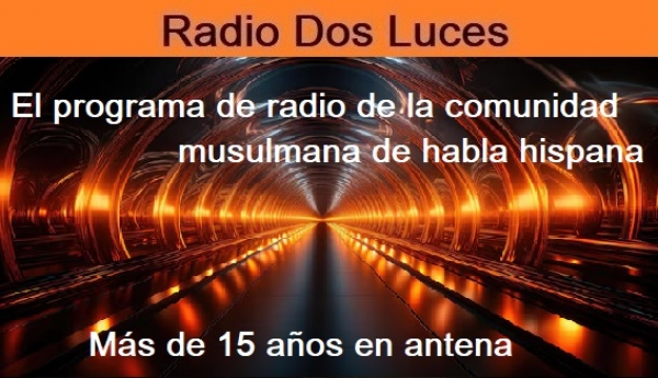 Progr. nº 799 15-12-2024