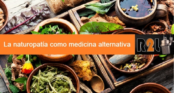 Explorando el masaje terap&eacute;utico y otras terapias